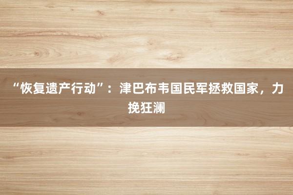 “恢复遗产行动”：津巴布韦国民军拯救国家，力挽狂澜