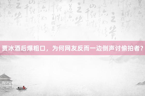贾冰酒后爆粗口，为何网友反而一边倒声讨偷拍者？