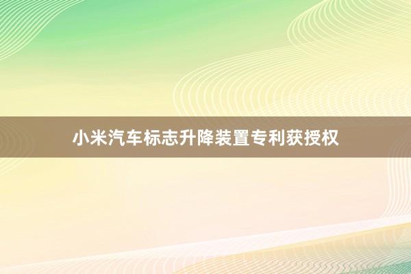 小米汽车标志升降装置专利获授权