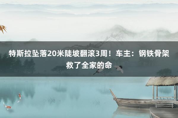 特斯拉坠落20米陡坡翻滚3周！车主：钢铁骨架救了全家的命