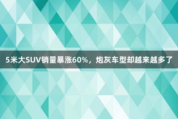 5米大SUV销量暴涨60%，炮灰车型却越来越多了