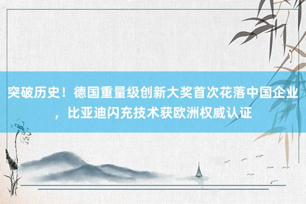 突破历史！德国重量级创新大奖首次花落中国企业，比亚迪闪充技术获欧洲权威认证