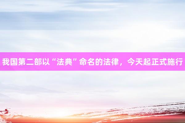 我国第二部以“法典”命名的法律,今天起正式施行