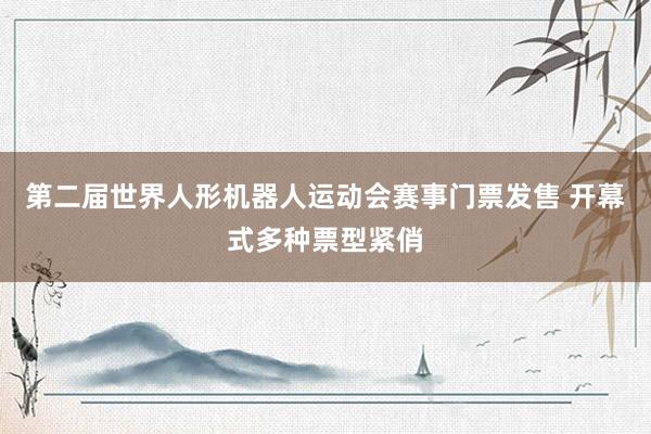 第二届世界人形机器人运动会赛事门票发售 开幕式多种票型紧俏