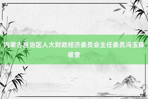 内蒙古自治区人大财政经济委员会主任委员冯玉臻被查