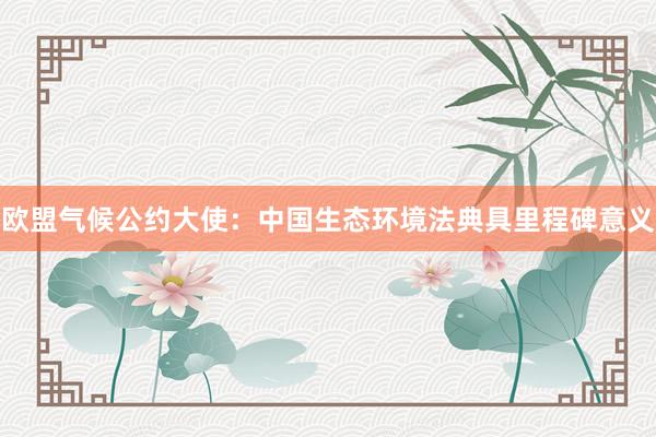 欧盟气候公约大使：中国生态环境法典具里程碑意义