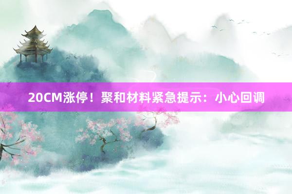20CM涨停！聚和材料紧急提示：小心回调
