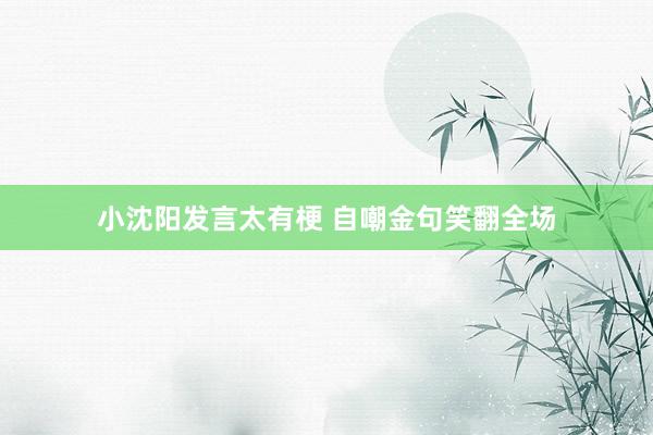 小沈阳发言太有梗 自嘲金句笑翻全场