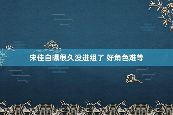 宋佳自曝很久没进组了 好角色难等