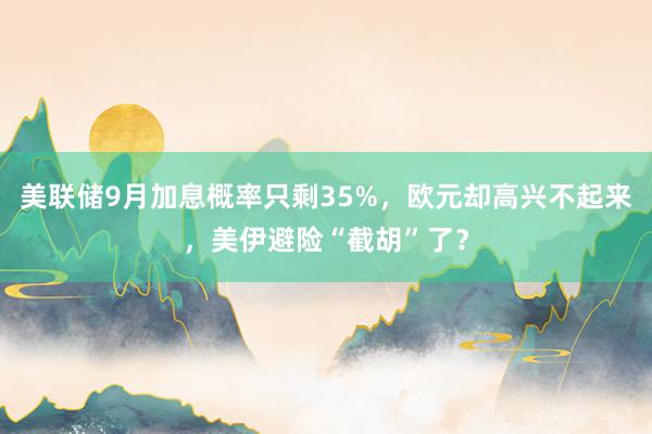 美联储9月加息概率只剩35%，欧元却高兴不起来，美伊避险“截胡”了？