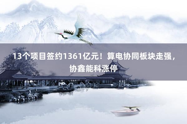 13个项目签约1361亿元！算电协同板块走强，协鑫能科涨停