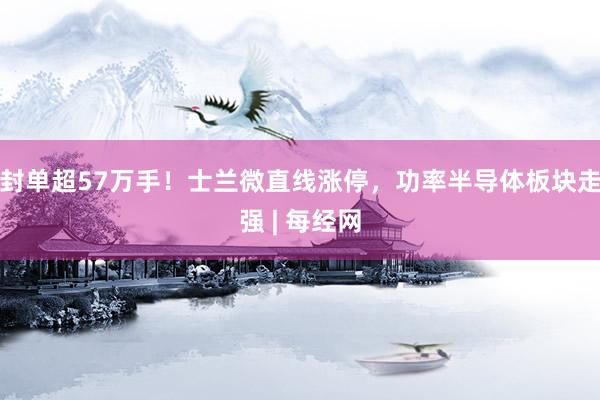 封单超57万手！士兰微直线涨停，功率半导体板块走强 | 每经网