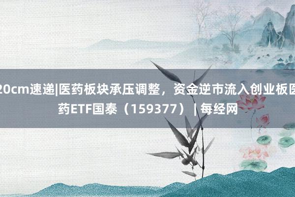 20cm速递|医药板块承压调整，资金逆市流入创业板医药ETF国泰（159377） | 每经网