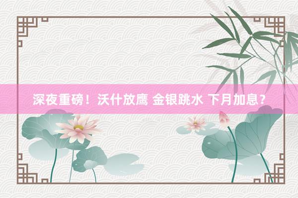 深夜重磅！沃什放鹰 金银跳水 下月加息？