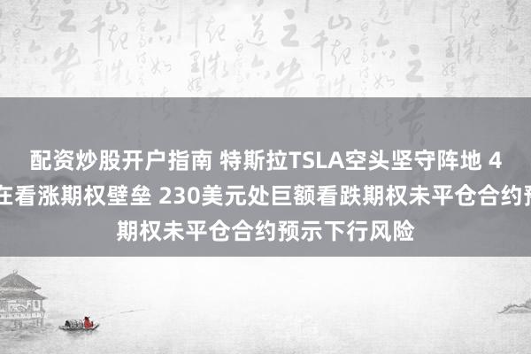 配资炒股开户指南 特斯拉TSLA空头坚守阵地 420美元处存在看涨期权壁垒 230美元处巨额看跌期权未平仓合约预示下行风险