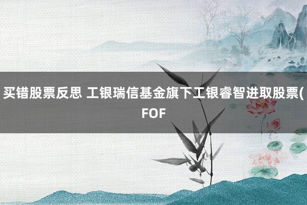 买错股票反思 工银瑞信基金旗下工银睿智进取股票(FOF