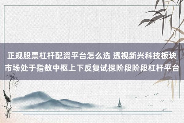正规股票杠杆配资平台怎么选 透视新兴科技板块市场处于指数中枢上下反复试探阶段阶段杠杆平台