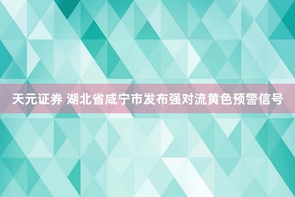 天元证券 湖北省咸宁市发布强对流黄色预警信号