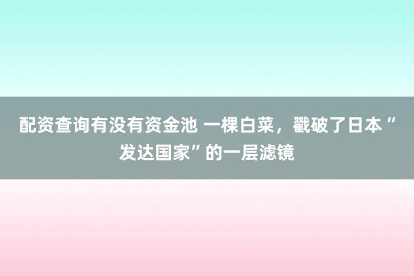 配资查询有没有资金池 一棵白菜，戳破了日本“发达国家”的一层滤镜