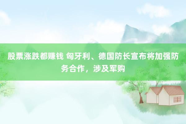 股票涨跌都赚钱 匈牙利、德国防长宣布将加强防务合作，涉及军购