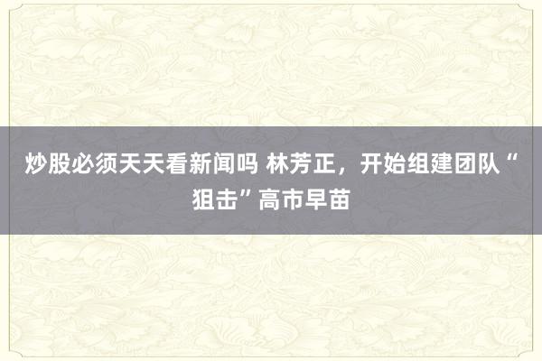 炒股必须天天看新闻吗 林芳正，开始组建团队“狙击”高市早苗