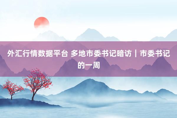 外汇行情数据平台 多地市委书记暗访｜市委书记的一周