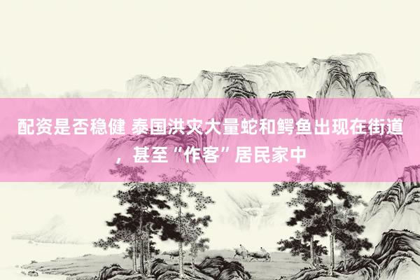 配资是否稳健 泰国洪灾大量蛇和鳄鱼出现在街道，甚至“作客”居民家中