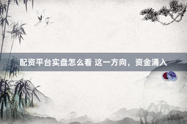 配资平台实盘怎么看 这一方向，资金涌入