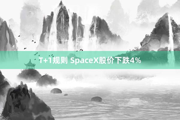 T+1规则 SpaceX股价下跌4%
