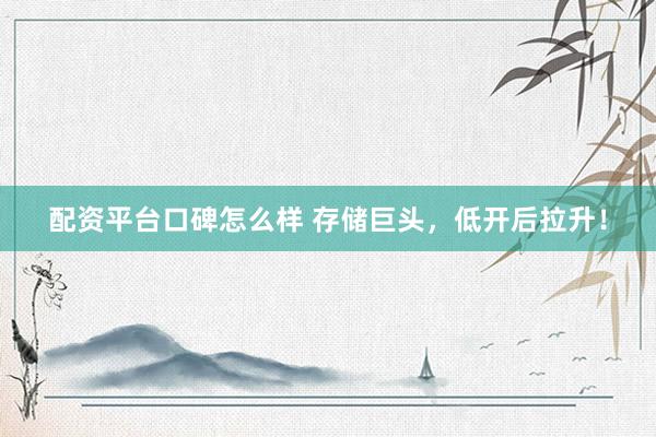 配资平台口碑怎么样 存储巨头，低开后拉升！