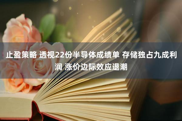 止盈策略 透视22份半导体成绩单 存储独占九成利润 涨价边际效应退潮