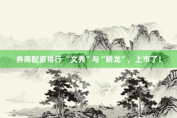 券商配资排行 “文秀”与“娇龙”，上市了！